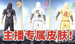 不求人皮肤爆料最新,全新特效与设计，带你领略游戏魅力